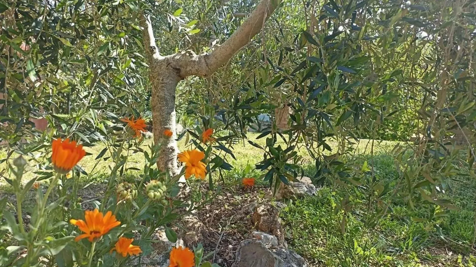 Farm stay La Mandriana Villa Massa Marittima Italy